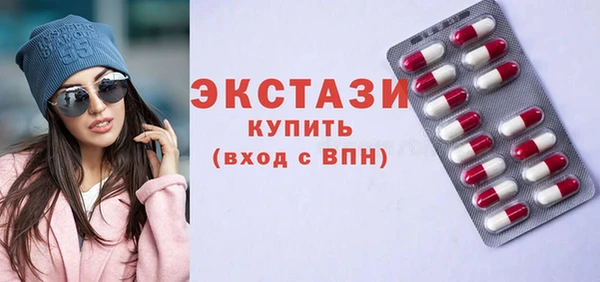гидра Каменка