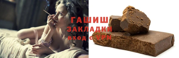 гидра Каменка