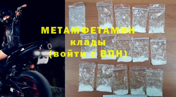 гидра Каменка