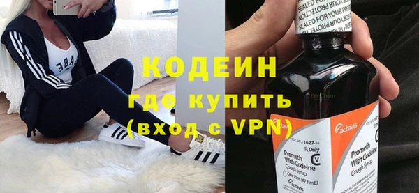 гидра Каменка