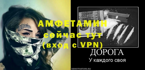 гидра Каменка