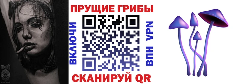 Купить где  Фатеж  Галлюциногенные грибы Psilocybe 
